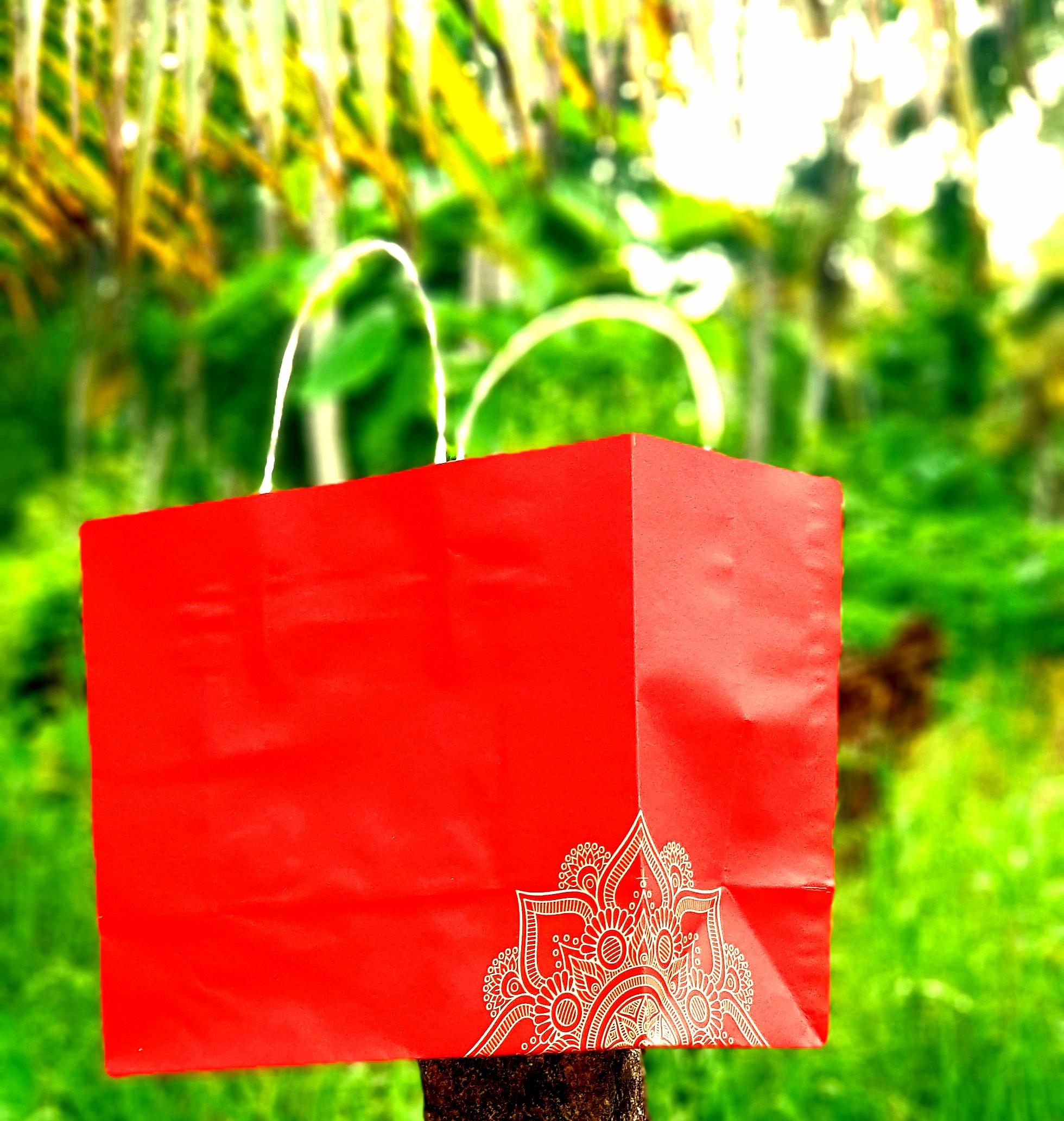 Paper Bag